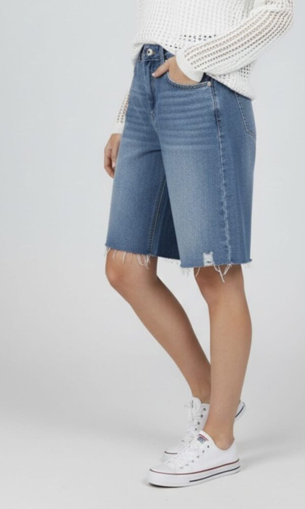 Alternative view of Bermuda Teddy