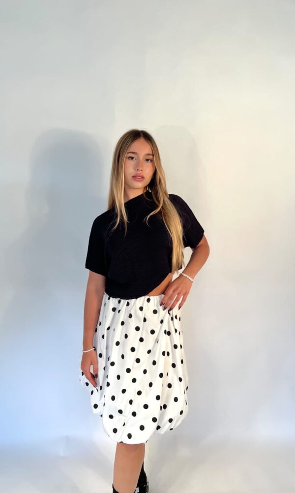 Alternative view of Pollera Janet