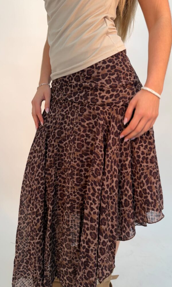 Alternative view of Pollera Mexico